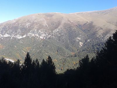 Paraje boscoso de Santamela, espectacular rincón.