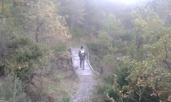 Puente la Barana